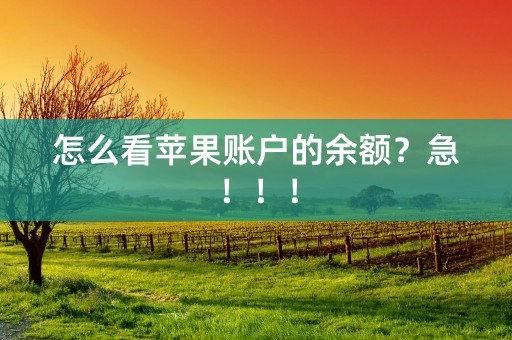 怎么看苹果账户的余额？急！！！