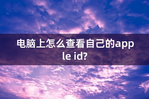 电脑上怎么查看自己的apple id?