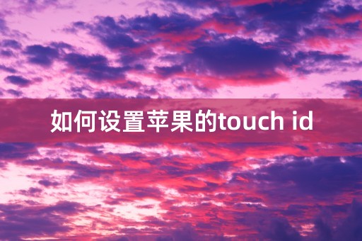 如何设置苹果的touch id