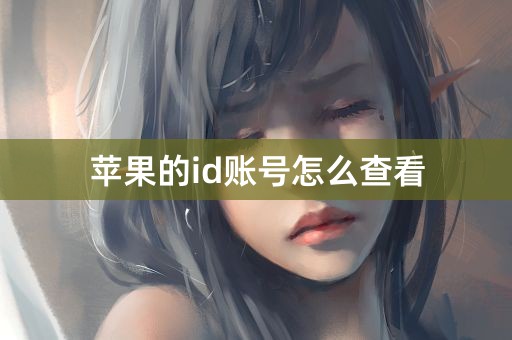 苹果的id账号怎么查看