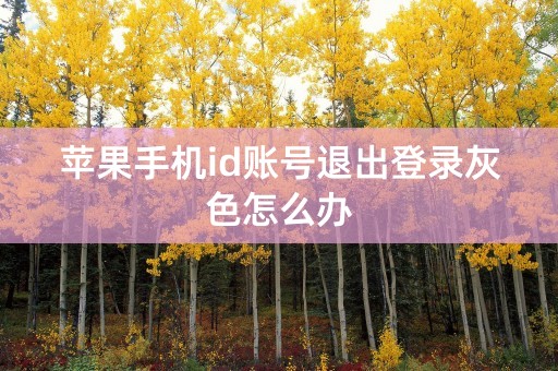 苹果手机id账号退出登录灰色怎么办