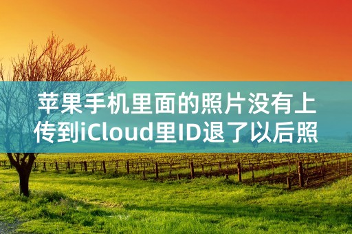 苹果手机里面的照片没有上传到iCloud里ID退了以后照片还会在吗？