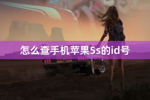 怎么查手机苹果5s的id号