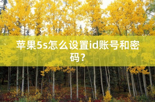 苹果5s怎么设置id账号和密码？