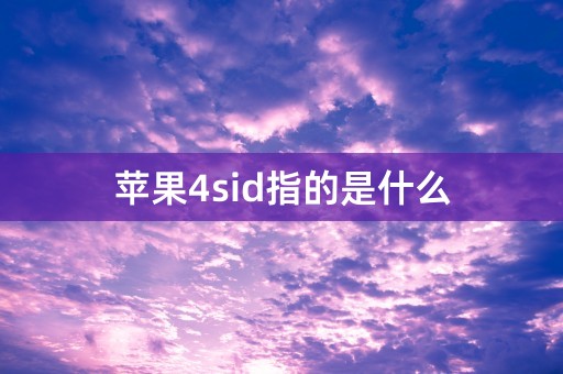 苹果4sid指的是什么