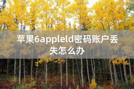 苹果6appleld密码账户丢失怎么办