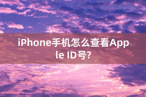 iPhone手机怎么查看Apple ID号?