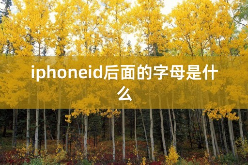 iphoneid后面的字母是什么