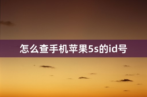 怎么查手机苹果5s的id号