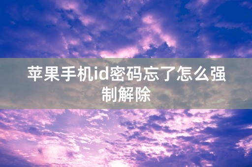 苹果手机id密码忘了怎么强制解除