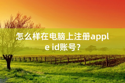 怎么样在电脑上注册apple id账号？