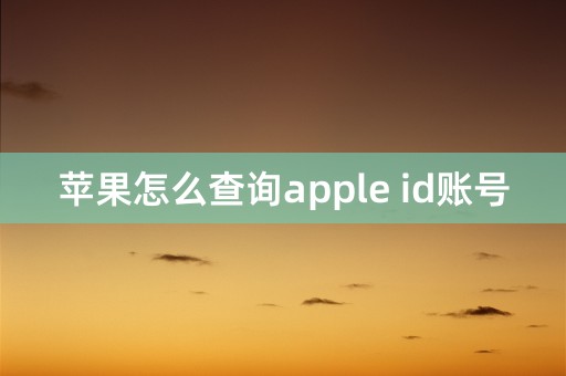 苹果怎么查询apple id账号