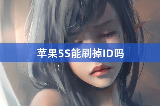 苹果5S能刷掉ID吗