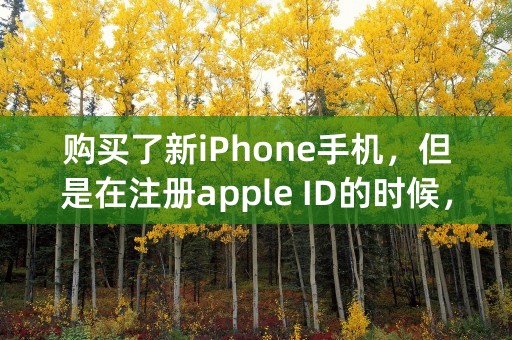 购买了新iPhone手机，但是在注册apple ID的时候，不小心把注册邮箱填写错了。能修改吗？