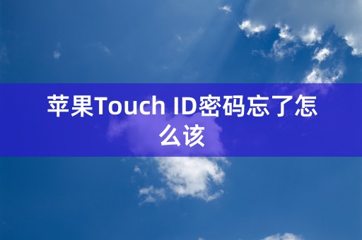 苹果Touch ID密码忘了怎么该