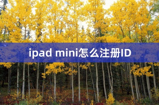 ipad mini怎么注册ID