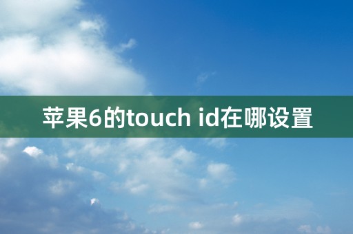 苹果6的touch id在哪设置