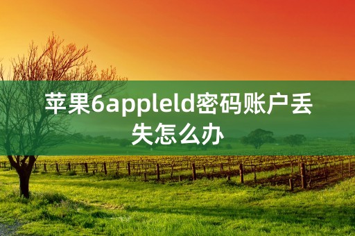 苹果6appleld密码账户丢失怎么办