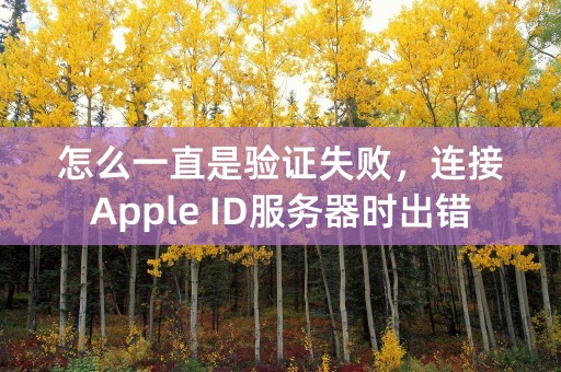 怎么一直是验证失败，连接Apple ID服务器时出错