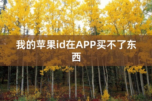 我的苹果id在APP买不了东西