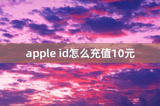 apple id怎么充值10元