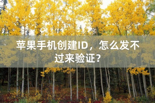 苹果手机创建ID，怎么发不过来验证？