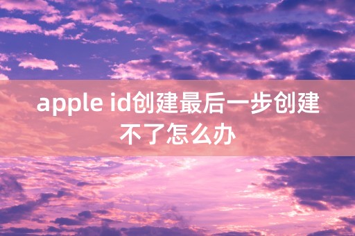 apple id创建最后一步创建不了怎么办