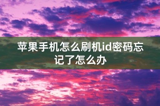 苹果手机怎么刷机id密码忘记了怎么办