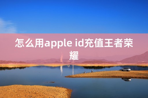 怎么用apple id充值王者荣耀