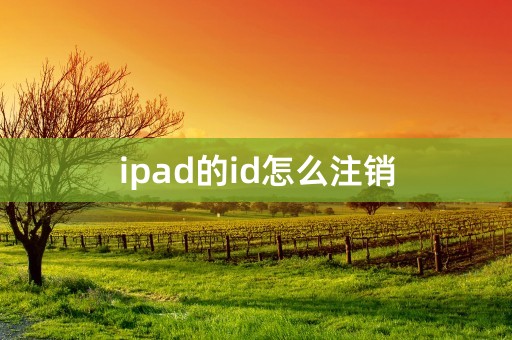 ipad的id怎么注销