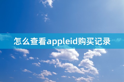 怎么查看appleid购买记录