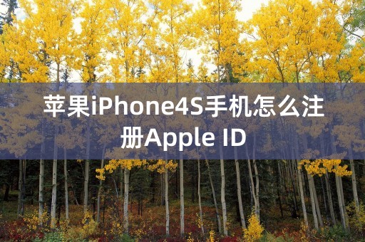 苹果iPhone4S手机怎么注册Apple ID