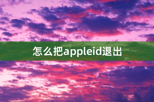 怎么把appleid退出