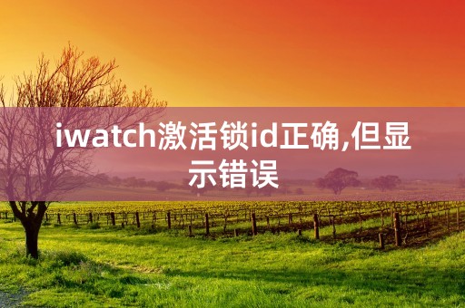 iwatch激活锁id正确,但显示错误