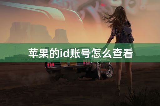 苹果的id账号怎么查看