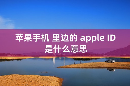 苹果手机 里边的 apple ID 是什么意思