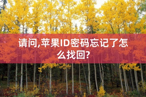 请问,苹果ID密码忘记了怎么找回?