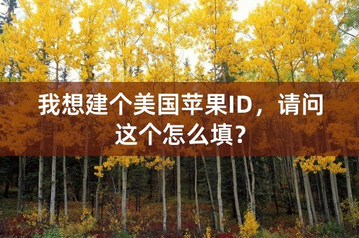 我想建个美国苹果ID，请问这个怎么填？