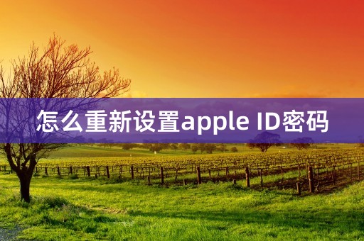 怎么重新设置apple ID密码