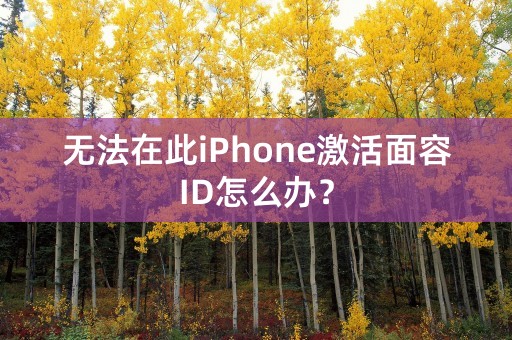 无法在此iPhone激活面容ID怎么办？