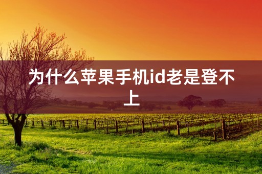 为什么苹果手机id老是登不上