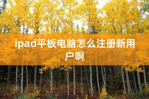 ipad平板电脑怎么注册新用户啊