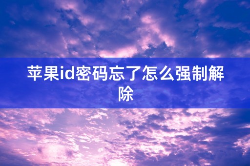 苹果id密码忘了怎么强制解除