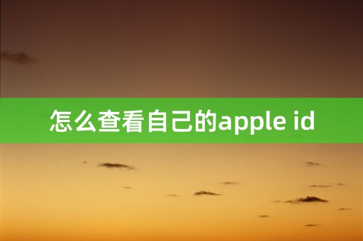 怎么查看自己的apple id