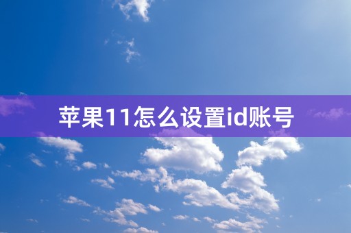 苹果11怎么设置id账号