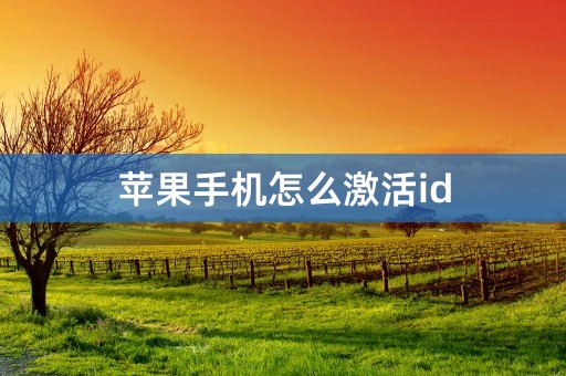 苹果手机怎么激活id