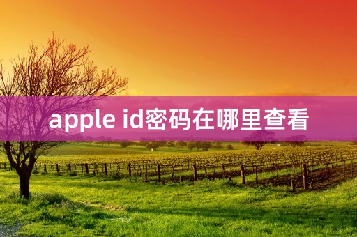 apple id密码在哪里查看