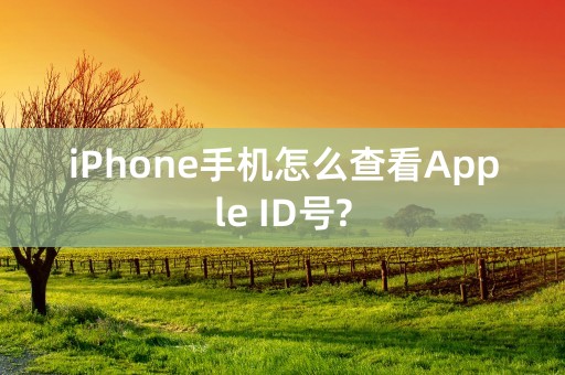 iPhone手机怎么查看Apple ID号?