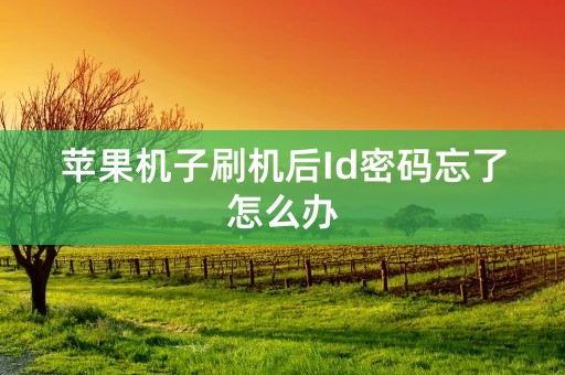 苹果机子刷机后Id密码忘了怎么办