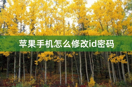 苹果手机怎么修改id密码